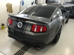Mustang Shelby GT500 Super Snake Gloss Blue