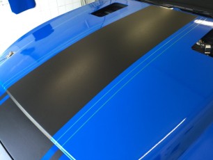 Mustang Shelby GT500 Super Snake Gloss Blue