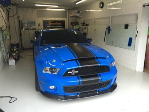 Mustang Shelby GT500 Super Snake Gloss Blue